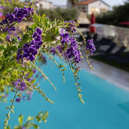 Villa Aqua Zaboric Exterior photo