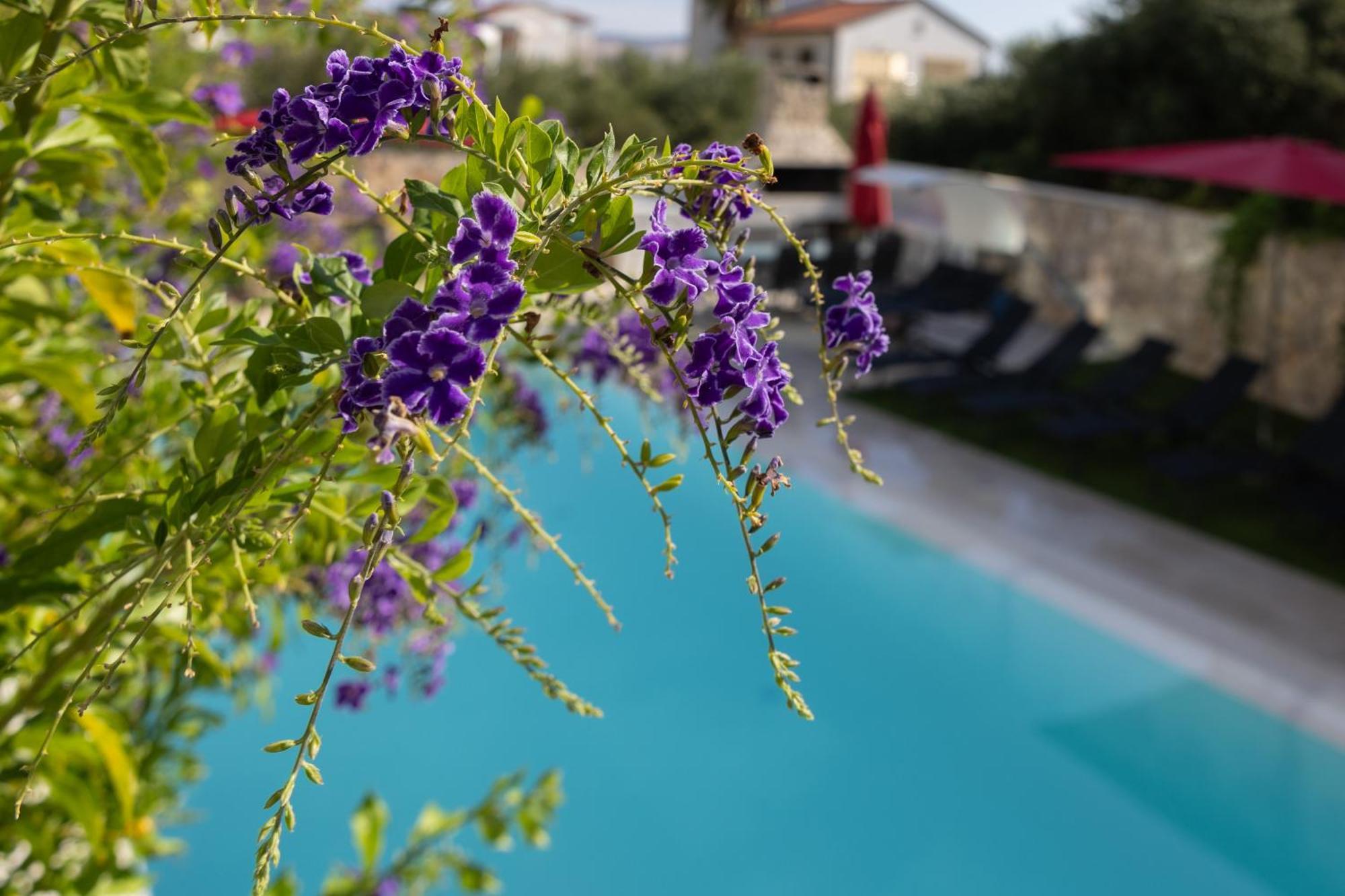Villa Aqua Zaboric Exterior photo