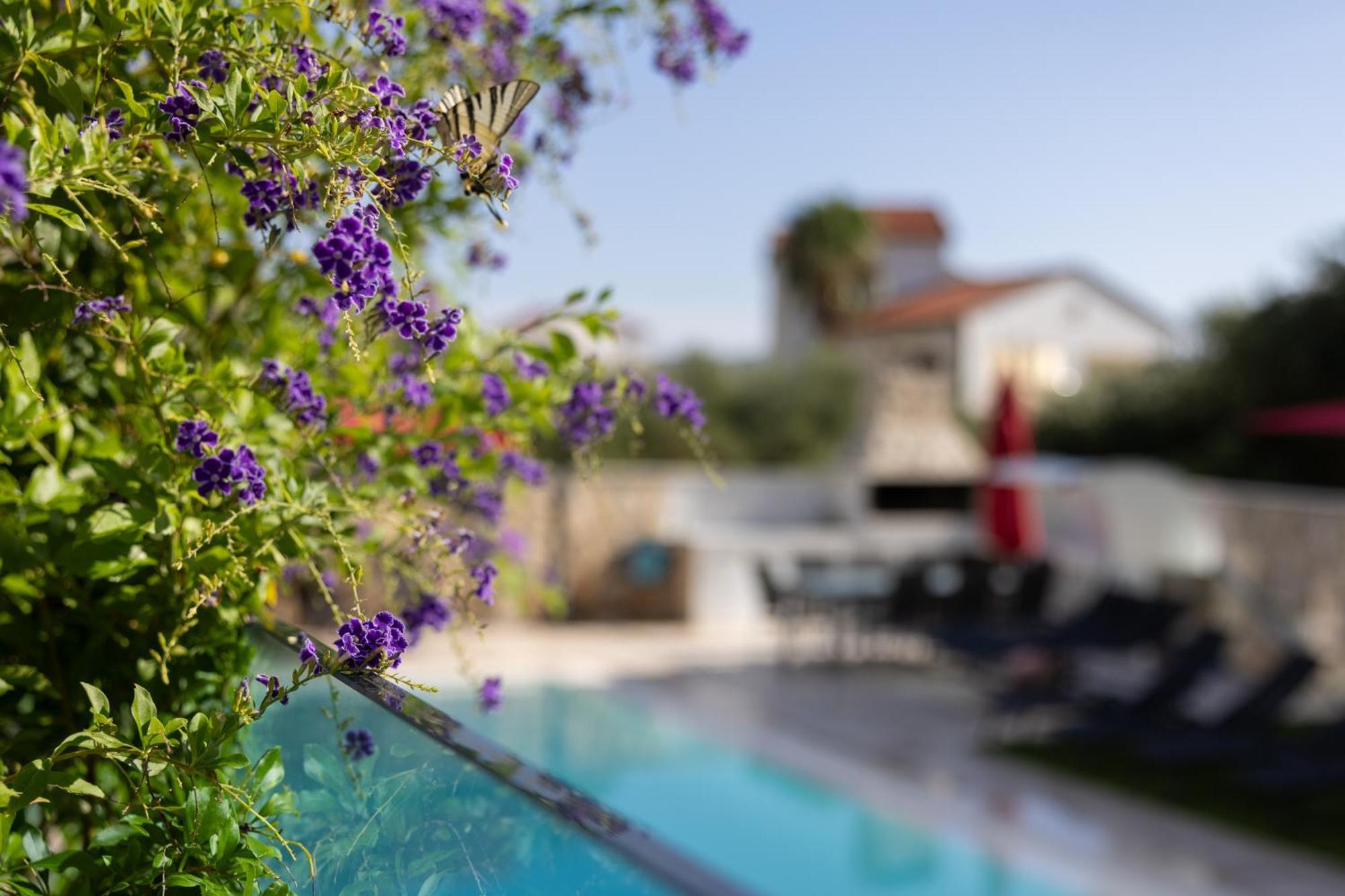 Villa Aqua Zaboric Exterior photo